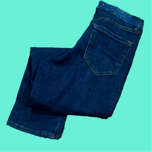 NWOT Ella Moss jeans 8